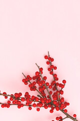Branch of red winterberry on a pink background. Selective focus.