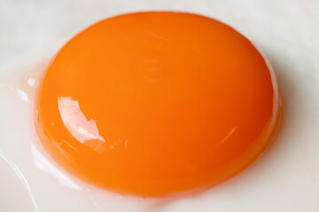 Closeup of Egg Yolk, a Good Source of High Quality Protein