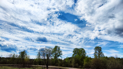 Fototapeta premium Dark, stormy and rainy clouds over green trees and big field on a spring or summer day