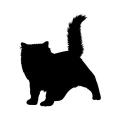Standing Ragdoll Front View Silhouette. Good To Use For Element Print Book, Animal Book and Animal Content