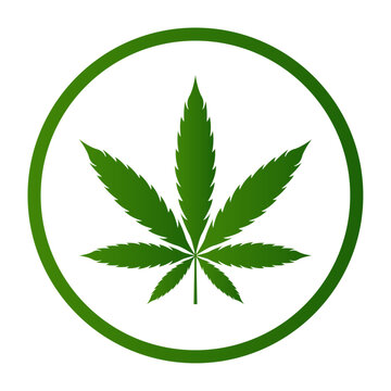 Green marijuana leaf vector design
