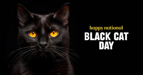 National Black Cat Day - Captivating Front-Facing Black Cat, AI Generated