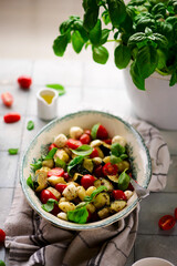 Italian Caprese salad with gnocchi and vegetables.. .style rustic