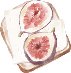 Sandwich with cheese and figs isolated on white watercolour illustration