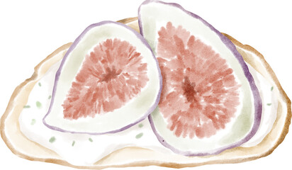 Sandwich with cheese and figs isolated on white watercolour illustration