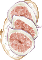 Sandwich with cheese and figs isolated on white watercolour illustration