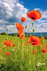 field of red poppies against blue sky background. AI Generative