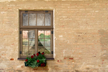 Fototapeta na wymiar Flowers pot hanging on window with old textured wall