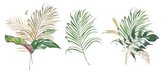 Watercolor tropical Green and beige palm leaves, summer clipart, floral bohemian bouquets with roses, monstera, green leaves and blush flower. For wedding stationary, greetings, wallpapers, fashion