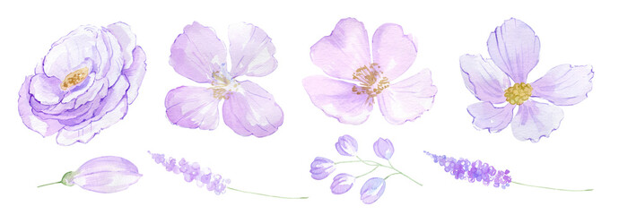 Watercolor tiny meadow floral bouquets, borders, wreaths and frames. Pink and blue wild flowers, summer flower, blossom, soft watercolor frame botanical arrangements, Gentle wedding invitation. 