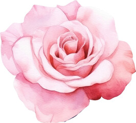 Naklejka premium Pink Rose Flower Watercolor.Generative AI