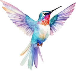 Fototapeta premium Bird hummingbird Watercolor Illustration.Generative AI