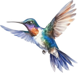 Obraz premium Bird hummingbird Watercolor Illustration.Generative AI
