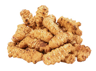 Jerusalem artichoke or Helianthus tuberosus root on transparent background.