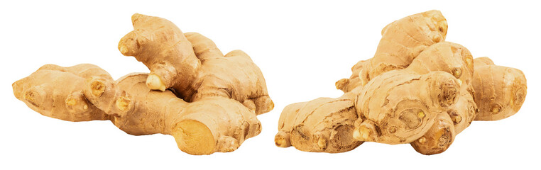 Ginger rhizome on transparent background.