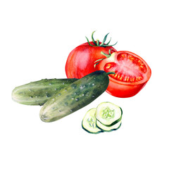 Watercolor composition of vegetables,onions,carrots, beets,zucchini, eggplant, cucumbers, tomatoes, peppers. Hand drawn on a white background for packaging design, fabric printing, posters,banner,card