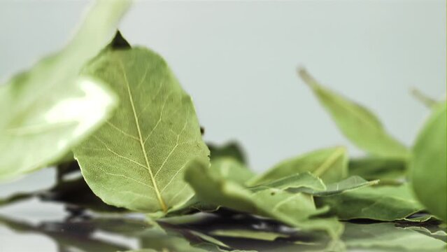 Falling bay leaf on the table. Filmed is slow motion 1000 fps. High quality FullHD footage