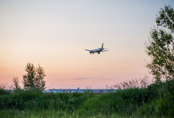 Fototapeta na wymiar Aircraft landing in international airport Domodedovo, DME. Russia, Moscow province