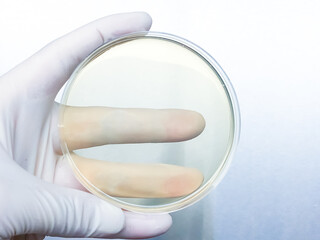 Microbial experimenters are conducting experiments in modern laboratory.