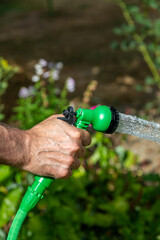 Naklejka premium A man watering a garden on a hot summer's day