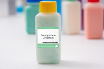 Porphyridium cruentum