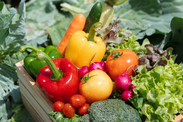 Wooden crate filled with fresh organic vegetables .