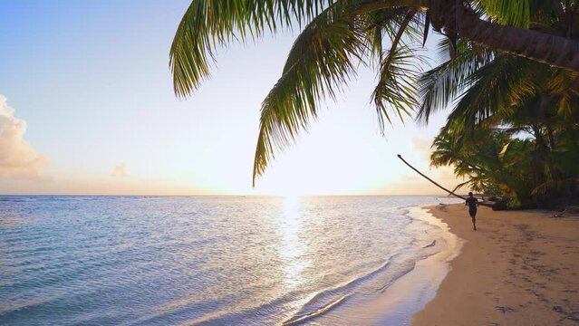 Waves crash against the shore of an evening beach with palm trees. Amazing summer sunset on a paradise island in the Atlantic Ocean. Jogging at the seaside. Footprints in the sand.