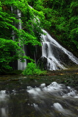 Fototapeta na wymiar 夏の緒ヶ瀬の滝