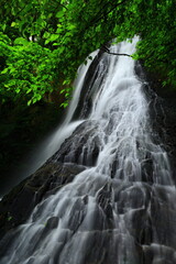 夏の緒ヶ瀬の滝