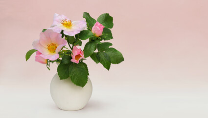 Wild rose flowers in white vase isolated on light pink background with copy space for postcard, invitation, wedding, etc. Bouquet of rose hips.