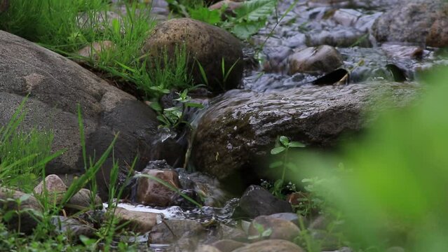 l'eau d'une rivi&egrave;re coule entre les rochers de la for&ecirc;t