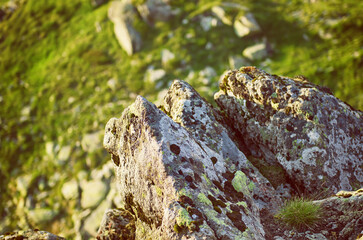 Carpathian mountain landscape