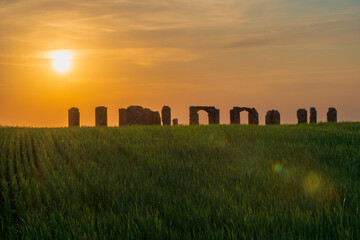 Ruins of an ancient building that looks like Stonehenge and a colorful field of cornflowers at...