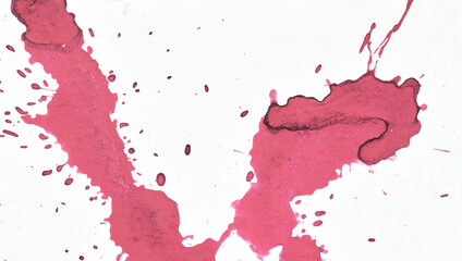 Paint drops and splashes on white paper. Multicolored explosion, pink red magenta ink blots abstract background, fluid art