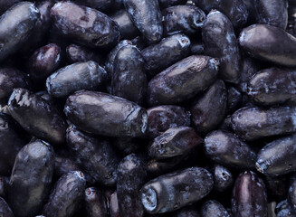 Haskap berries background. Top view