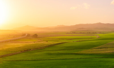 green spring hills with young grass and amazing growing fields and hills with beautiful bright cloudy sunset on background of rural landscape