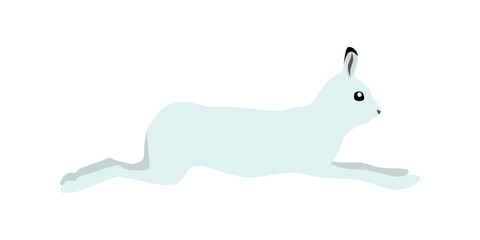 Animal illustration. Running polar hare drawn in a flat style. Isolated object on a white background. Vector 10 EPS - obrazy, fototapety, plakaty