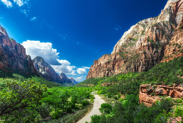 Fototapeta na wymiar Zion National Park. Zion National Park is administered by the National Park Service and was established by an act of Congress in 1919.