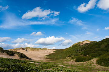 Landscape at the Noordduinen