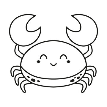 vector illustration of crab character in contouring