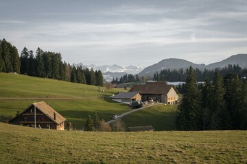farm in Switezrland with snowy mountains in backgroud