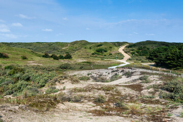 Fototapeta na wymiar Landscape at the Zuidduinen