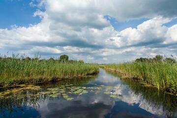 Fototapeta na wymiar Landscape at Nationaal Park de Weerribben in summer