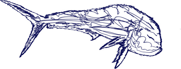 A dark blue doodle of a bull Mahi fish