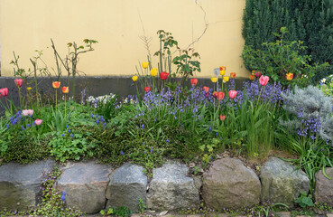 Flower bed with spring flowers at the house