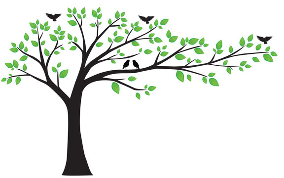 Beautiful tree with leaves and birds isolated on white background, vector illustration
