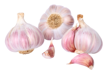 Têtes d'ail violet et blanc	