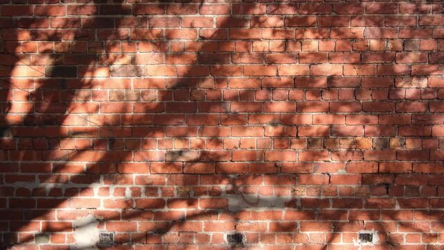 Background texture of an old classic red brick wall with the shadows of a swaying tree in the sunlight. Concept of retro atmosphere, aesthetic moment and a cozy afternoon. Copy space for your design.