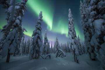Trees covered in snow with northern lights in the sky. Arctic landscape.Image ai generate. Generative AI