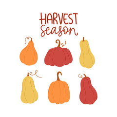 Harvest season. Decorative design composition with fall lettering and seasonal elements. Hand drawn phrase with pumpkins.
